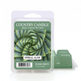 Spiral Aloe wosk zapachowy Country Candle